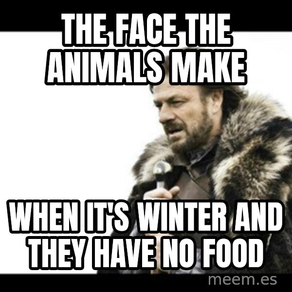 Winter is Coming meme: The face the animals make / when it's winter and they have no food