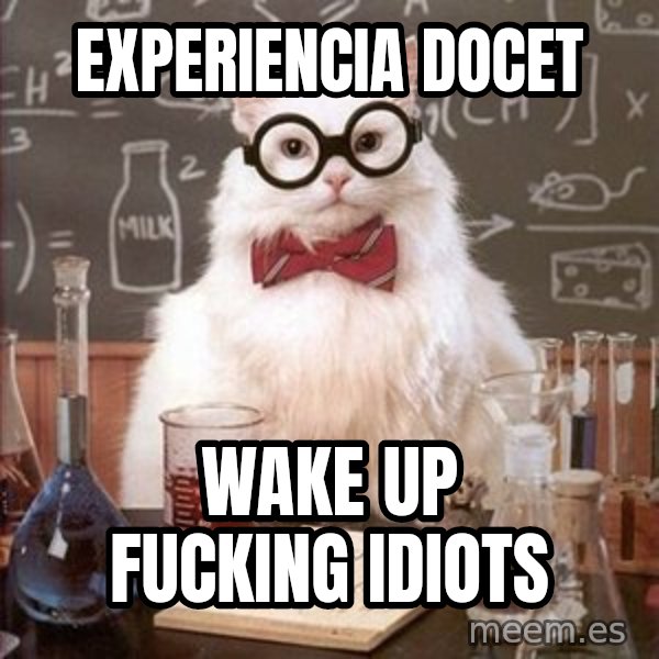 Chemistry Cat meme: experiencia docet / wake up fucking idiots