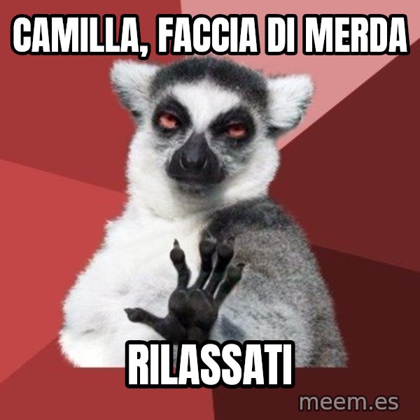 Chill Out Lemur meme: Camilla, faccia di merda / rilassati