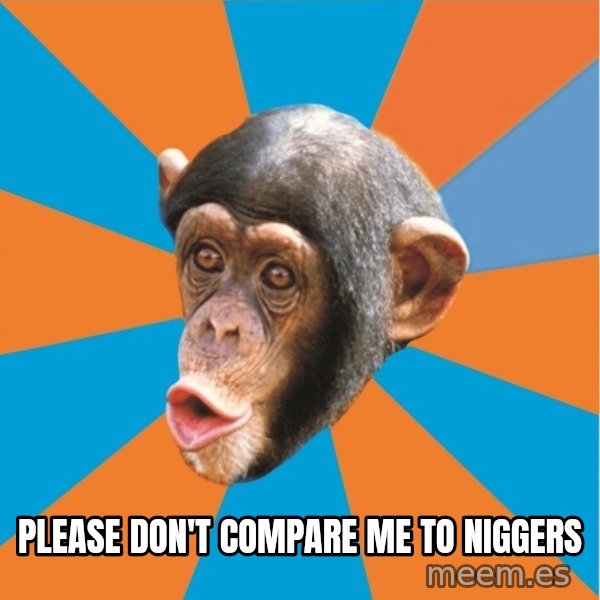 Stupid Monkey meme: please don't compare me to niggers