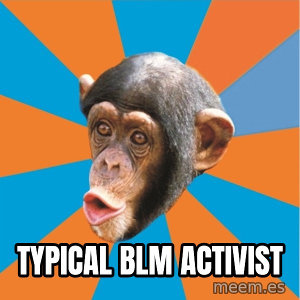 Stupid Monkey meme: typical blm activist