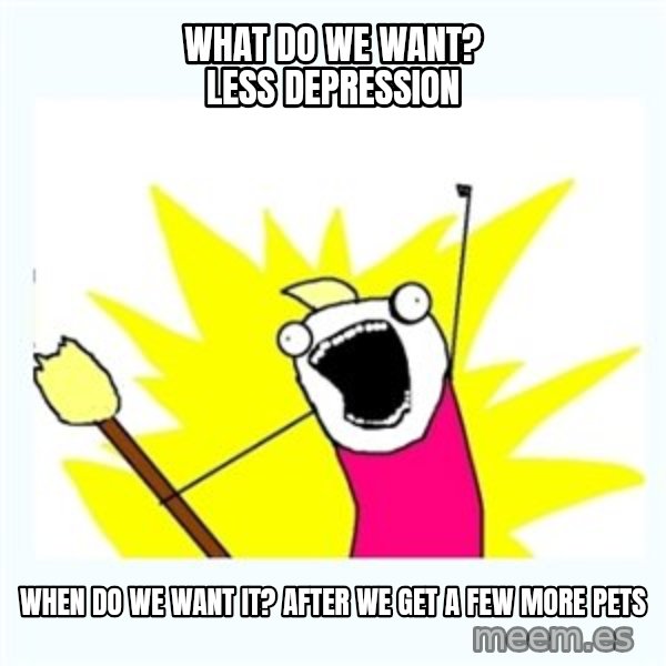 All the things meme: What do we want? LESS DEPRESSION / When do we want it? AFTER WE GET A FEW MORE PETS