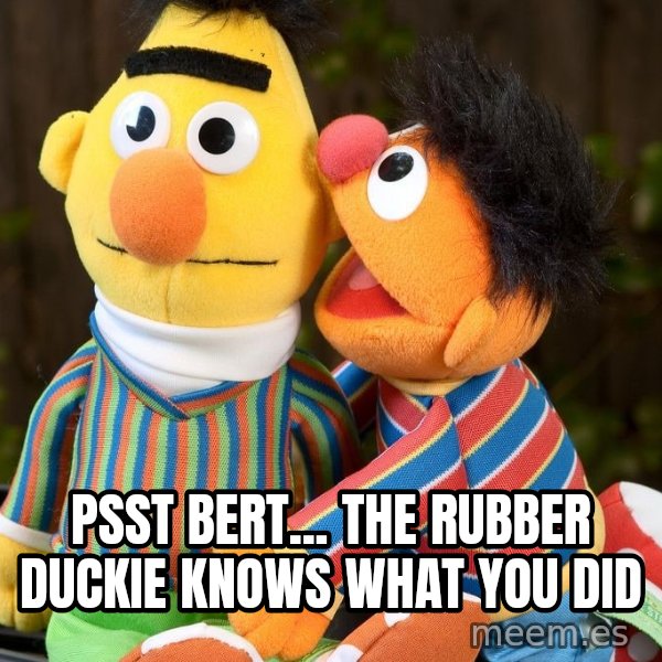 Ernie Whispers To Bert meme: Psst Bert... the rubber duckie knows what you did