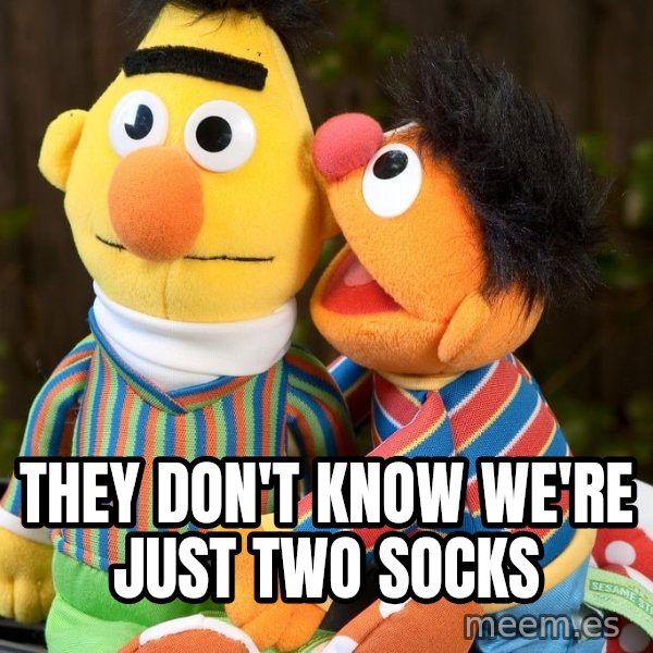Ernie Whispers To Bert meme: They don't know we're just two socks