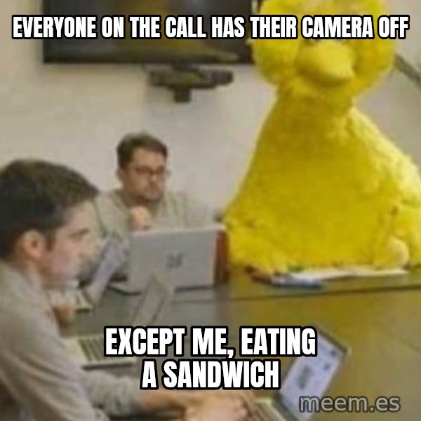 Big Bird In Meeting meme: Everyone on the call has their camera off / Except me, eating a sandwich