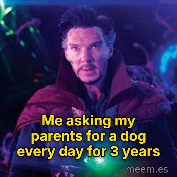 Dormammu, I've Come to Bargain meme: Me asking my parents for a dog every day for 3 years