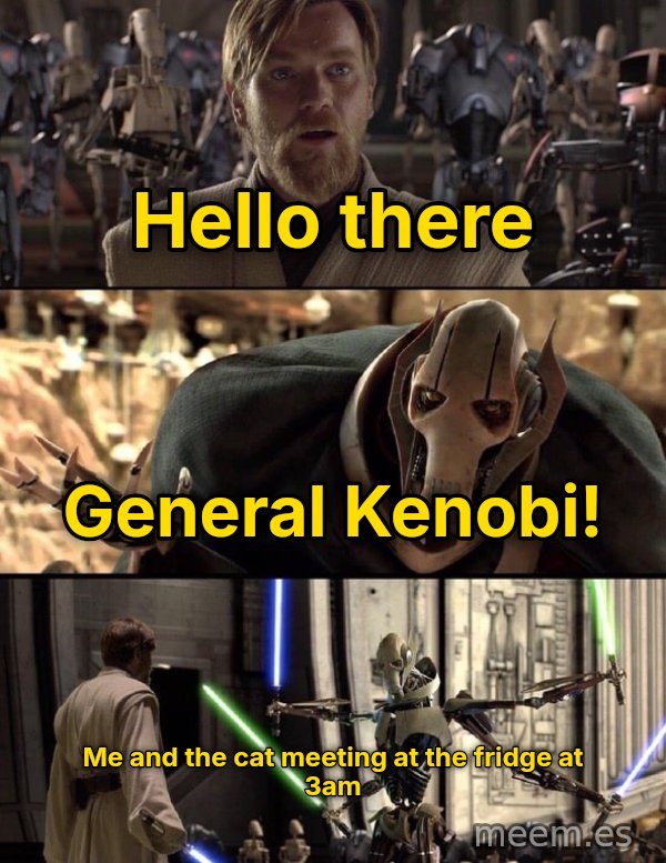 Hello There / General Kenobi meme: Hello there / General Kenobi! / Me and the cat meeting at the fridge at 3am