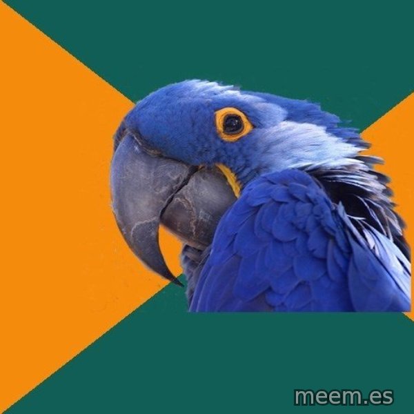 Paranoid Parrot meme template