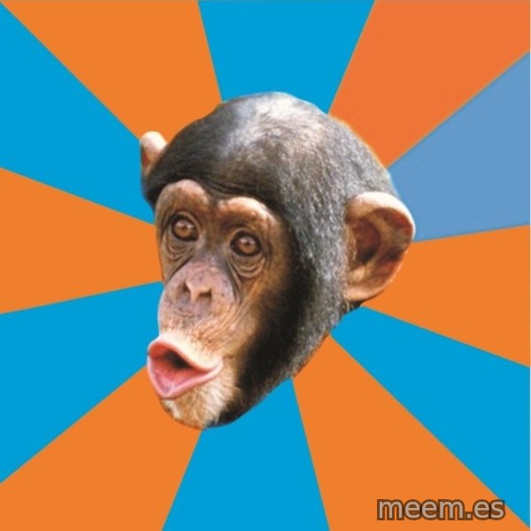 Stupid Monkey meme template