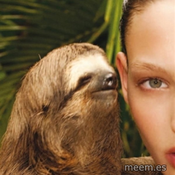 The Rape Sloth meme template