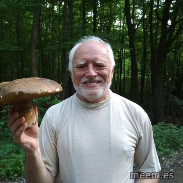 Harold's Mushroom meme template